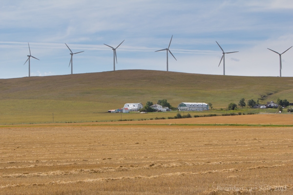Cowboy Trail, windmills