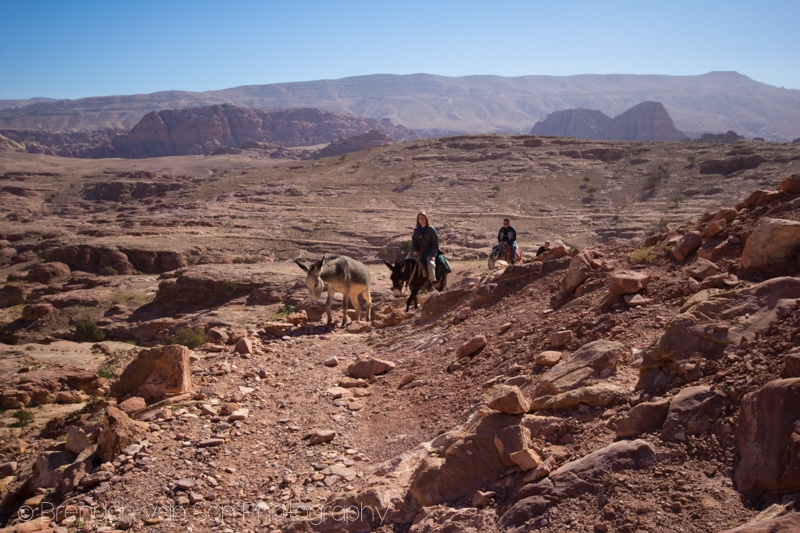 Donkey Trekking, Jordan