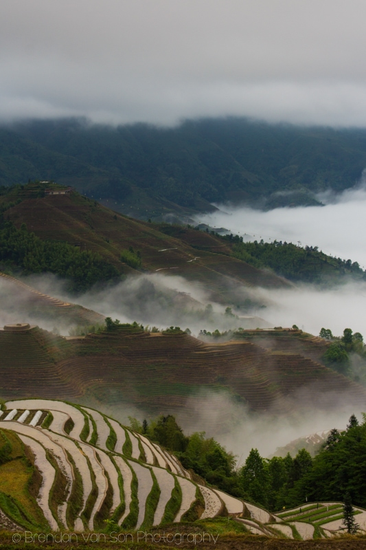 Dragon's Backbone Rice Terraces Longji China
