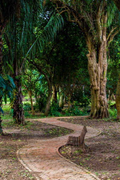 Jardin Botanico, Santa Cruz, Bolivia