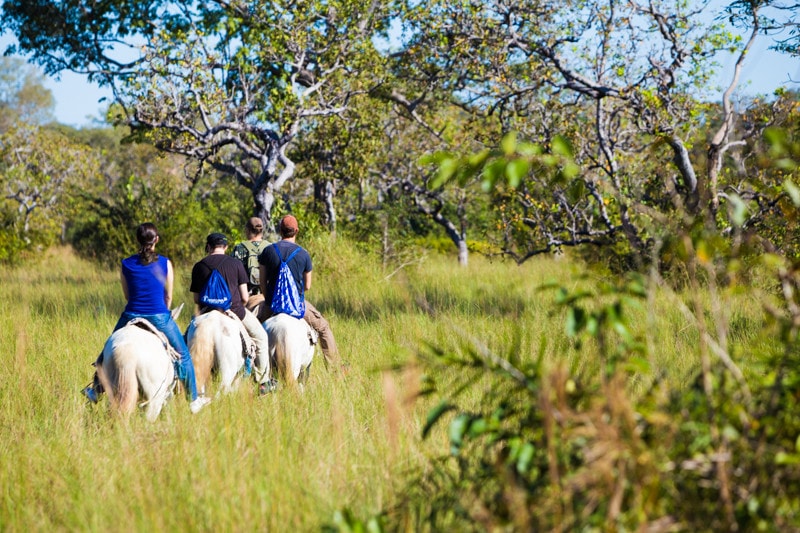 Horseriding, the pantanal