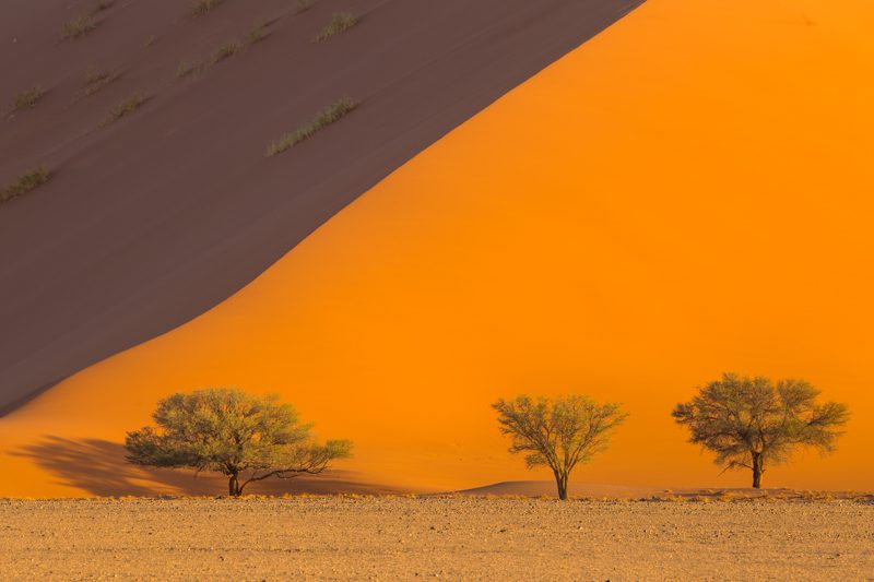 Best Photography Locations in Namibia - Brendan van Son Photography